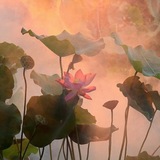 春花秋月 | китайский язык