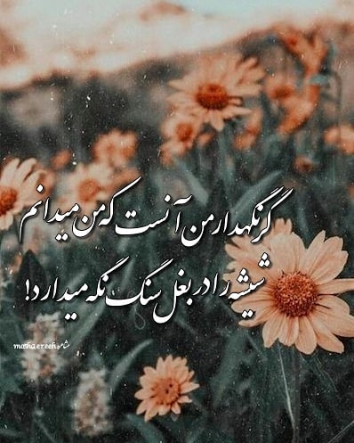 استغفار: ♥️ گر نگهدار من آنست که من میدانمشیشه را در بغل سنگ نگه میدارد ♥️⛲→ @astakhfar00000 ┄┅❥❥❥🌼🔮🌼❥❥❥┅┄