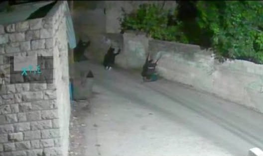 כוחות ישראל עצרו 4 צעירים במהלך התקיפה המתמשכת שלהם על הכפר בורין, מדרום לשכם.