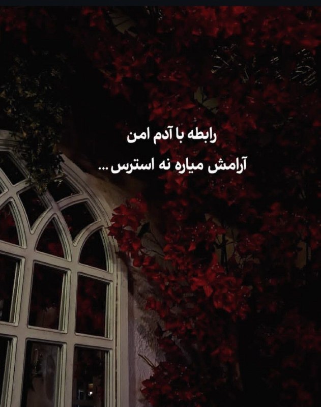 👑 شهر عکس 👑: 💜 @shahreeaks 💜
