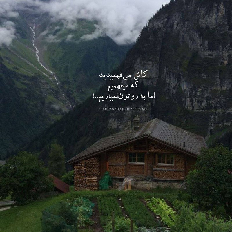 كِلك خيال انگيز: 🍃🌸🍃🌸کاش می فهمیدیدکه می فهمیماما به روتون نمیاریم@kelkkheial