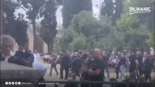 The occupation forces arrest a young man from the courtyards of the blessed Al-Aqsa Mosque at the same time as the Friday sermon.