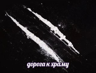 В Чехии задержан митрополит РПЦ Иларион по подозрению в хранении наркоты  Полиция Чехии задержала митрополита РПЦ Илариона (Григория Алфеева) в Карловых Варах после обыска его машины. В авто силовики нашли «четыре небольших контейнера с веществом белого цв