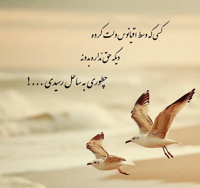 کانال گلستان شعر📕وآهنگ🎧: کسی که وسط اقیانوس ولت کرده دیگه حق نداره بدونه چطوری به ساحل رسیدی ...