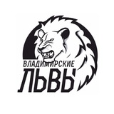 БК «ВЛАДИМИРСКИЕ ЛЬВЫ»