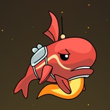 Whale Daily Fin