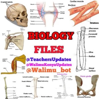 Biology Discussion Telegram Group Link