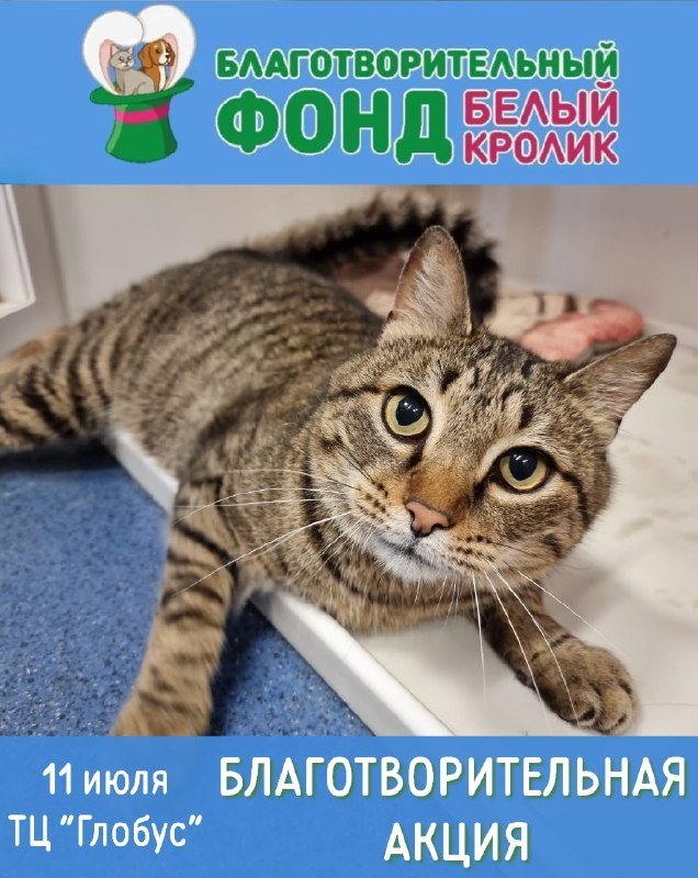 Уже завтра в ТЦ "Глобус" состоится...