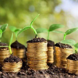 Projet business et investissements