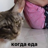 ПЕРСЫ ЛАЛАВАЛЕНОК