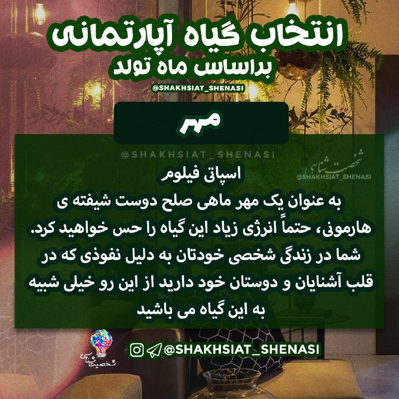 شخصیت شناسی: 💡گیاه آپارتمانی بر اساس ماه تولد 🪴🍀 #مهر 🌿 💡شخصیت شناسی 👇https://t.me/joinchat/AsUKhDukJFl2EN4x19EZoA