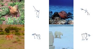 MoCapAnything V2 maps monocular video to joint rotations for any skeleton without inverse kinematics