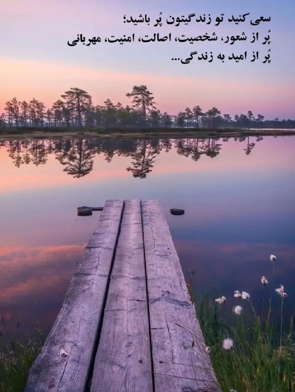 "دراموفین: 💜 💜
