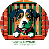 Тарасик и команда © official