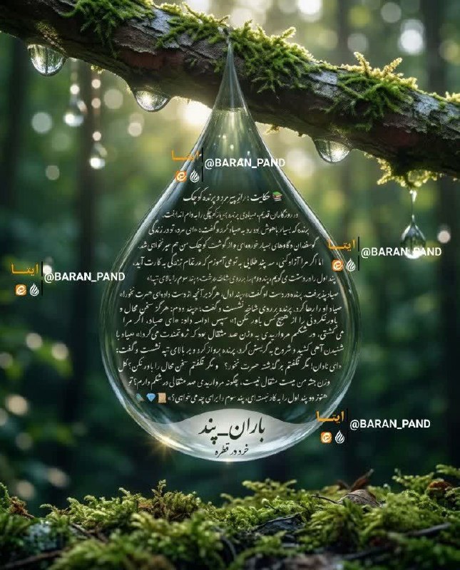 آخرین خبر مازندران: #حکایت :♦️ رازِ پیرمرد و پرنده کوچک🔹در روزگاران قدیم، صیادی پرنده بسیار کوچکی را به دام انداخت. پرنده که بسیار باهوش بود
