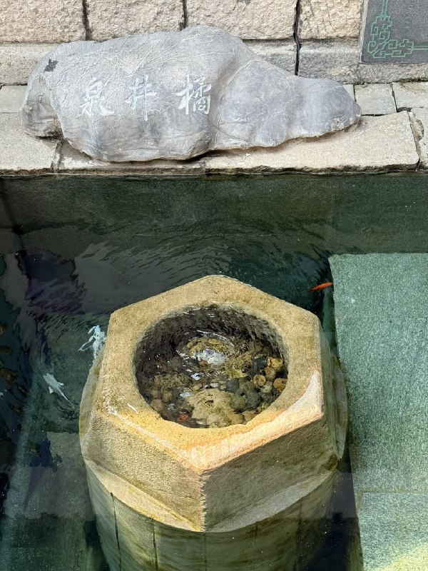 橘井泉本命涌现？