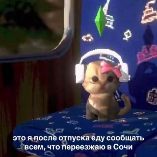 Поехать в отпуск — и переехатьЯндекс Путешествия и Яндекс Недвижимость выяснили, что почти все россияне (89%) после поездки в новый для них город хотят задержаться в нем подольше или даже переехать туда. Особенно россиян тянет в Сочи, Санкт-Петербург, Моск