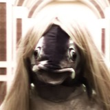 NOZUWY