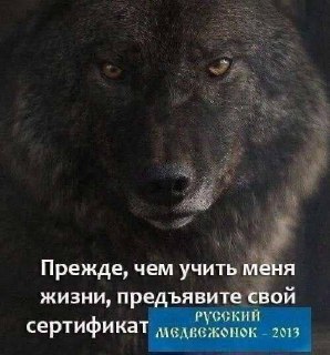 Последний сохраненный мем - ваш прогноз на 2026👇У пикчера такой