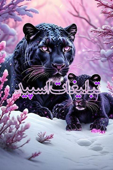 گروه دوستیابی دخترونه سنندج: ❶﹚ نام : سرای محبت❤️❷﹚ نو؏ تبلیغات : #telegram❸﹚ توضیحات :✨دعوتید ب جمعی دوستانه✨⚜ادب شما نشانه شخصیت شماست دوست عزیز 👌⚜