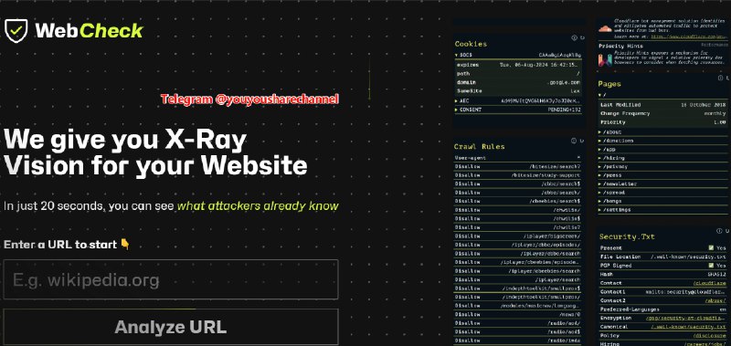 Webcheck 全面的网站检查工具 #网站一款网站检查工具，可以显示指定网站更多的信息