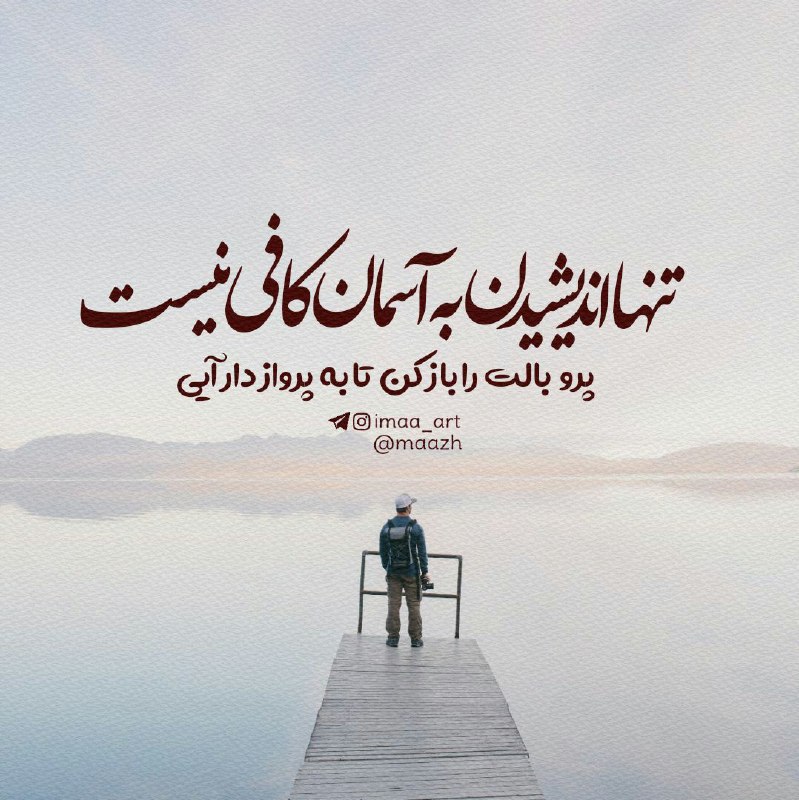 🌸 زندگے جاریست 🌸: تنها اندیشیدن به آسمان کافی نیست...پر و بالت را باز کنتا به پرواز درآیی ...🍃🌸 @zendegijarist2