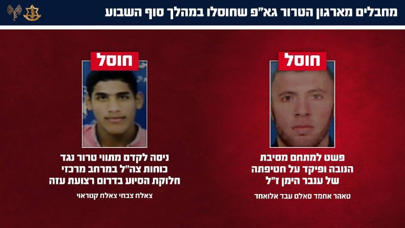 דובר צה״ל: