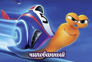 В Думу внесен законопроект о едином реестре домашних животных и их маркированииДокумент вводит понятия реестра домашних животных, их маркировки и регистрации в государственной системе. Предполагается, что перечень видов, подлежащих учёту, будет определён з