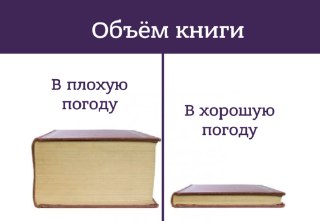 Что выбрать для сентябрьского чтения? Зацените 12 клевых осенних книг: https://lentach.media/a41cD
