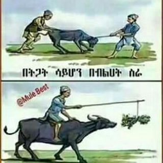 Repi Japan primary School Telegram Group Link