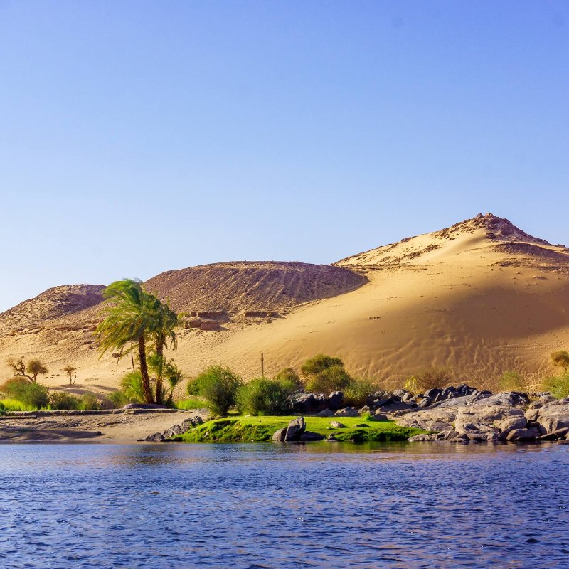 🚢 Круизы по Нилу: Открыты продажи! 🇪🇬 Погрузитесь в историю Древнего Египта с эксклюзивн… — ИнвестТур