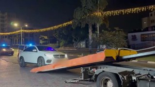 אור רביד