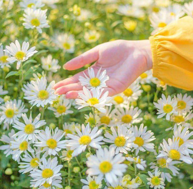 🍀ییلاق‌🍀ابرده🍀: 🌼🌱صدایت آفتاب استدست هایت طلوع بیداری!@yeylaqeabardeh━━━━🍃◍⃟🌾‌‌‌‌‌‌‌‌‌‌‌‎‌‌‌‌‌‌‎‌‎‌‌‌🍃💛 سلام#طلوعتان_به_مهر