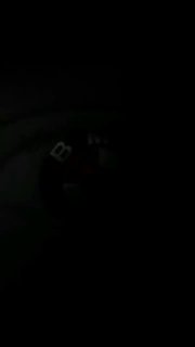 https://t.me/bmw_mpower_club