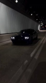 Dodge