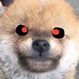onetuz 🐶 вантуз 💀УМЕР💀
