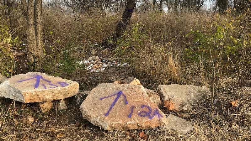 If you see purple paint, stop walking. What your state's paint law means.