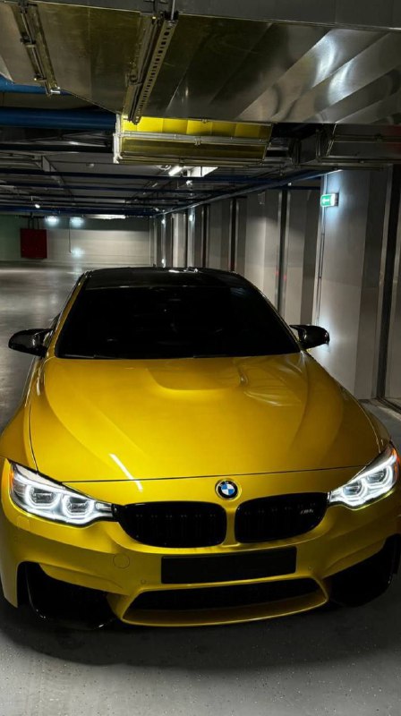 https://t.me/bmw_mpower_club