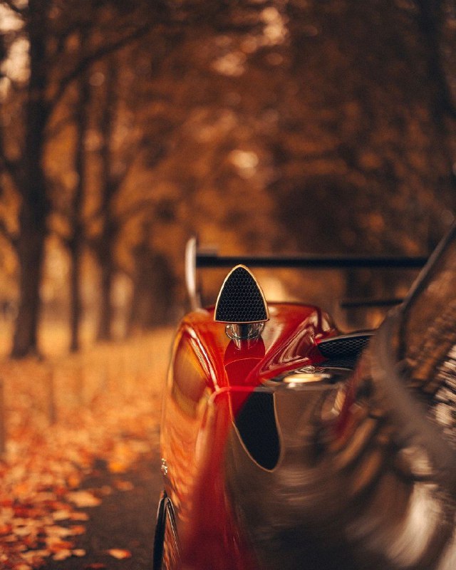 Pagani Zonda MY Roadster 3