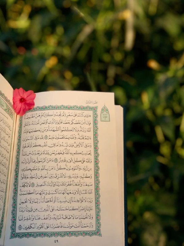 ❤️قُنِأَةَ َآلْﯙلْأَيُهُ فيُ حَبَ أَلْأَمَأَمَ عُلْيُ ❤️: {أَ حَسِبَ النَّاسُ أَنْ يُتْرَكُوا أَنْ يَقُولُوا آمَنَّا وَ هُمْ لا يُفْتَنُونَ}١- الإيمان ليس شعارا ولا قولا باللسان،