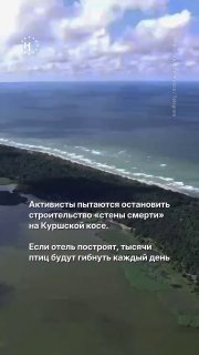 🐦‍⬛️ В Калининградской области продолжают бороться против строительства отеля на Куршской косе — в национальном парке, внесенном в список Всемирного наследия ЮНЕСКО. Эксперты предупреждают: из-за высотного гостиничного комплекса будут погибать тысячи птиц 