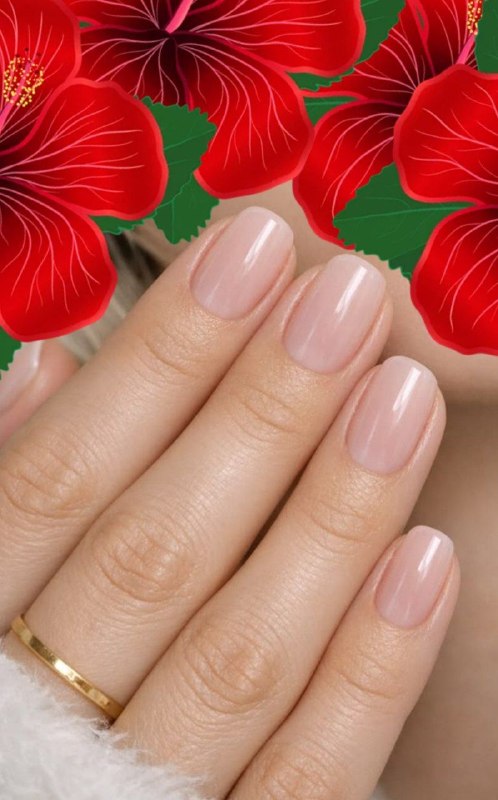 مجله تن سالم وطب سنتی: راز ناخنهای الماسگونه؛ روتین خانگی و لوکس 💅✨ فرمول طلایی را برای تقویت ناخنها به خاطر بسپارید: 👇۱. اکسیر درخشش (روغ