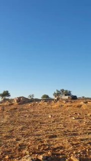 מתנחלים גונבים את היבול של חקלאים פלסטינים בח'רבת אל-ח'ראבה, מזרחית לעיירה אל-סאמו, דרומית לחברון.