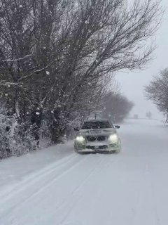 https://t.me/bmw_mpower_club