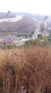 ספיר ליפקין