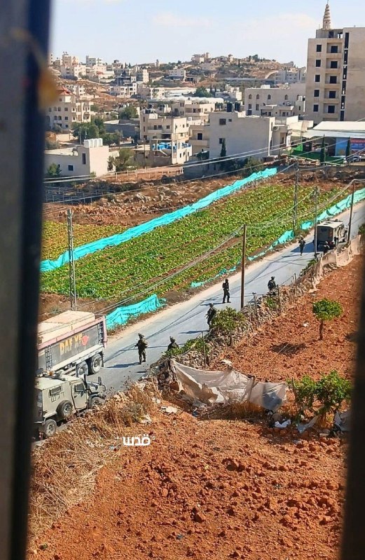 Urgent: The occupation forces storm the settlement of Sa'ir north of Hebron.