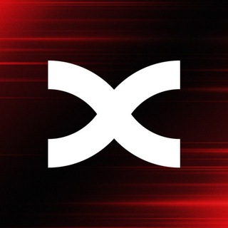 BingX Egypt News Telegram Group Link