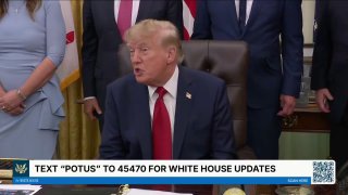 Trump: