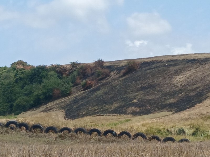 سبلان ما: 🔻نامهربانی با طبیعت؛ آتشزدن عمدی مزارع روستای کلهسر و سوختن درختان🔹۳۰ مرداد ۱۴۰۵/شهرستان نمین/استان اردبیل📩 ارتباط با