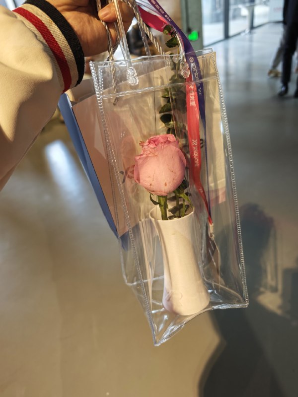 拿到了一束自变量机器人插的花，用时三分钟吧，没有想象中迅捷，但核心的点是视觉模型解决了对不规则物体的稳定操作，也无需遥控和编程，慢点，但它能搞定